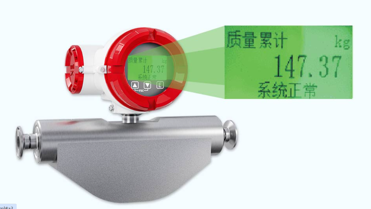 小流量质量流量计哪家好？